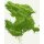 Health Bar Bio Matcha Tee Ceremonial 250g