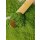 Health Bar Bio Matcha Tee Traditional 250g