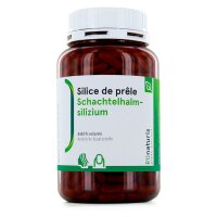 Schachtelhalmsilizium - 220 mg - 540 Kapseln